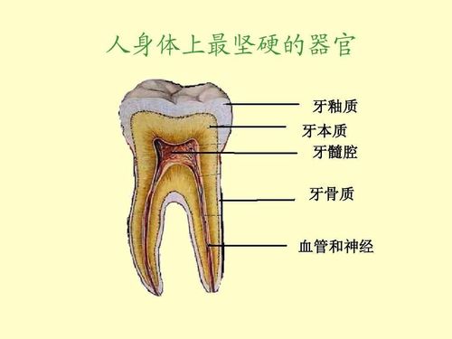 不用了的活性炭能干什么