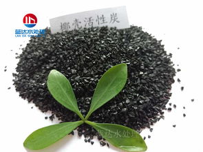 爆藻用活性炭可以吗