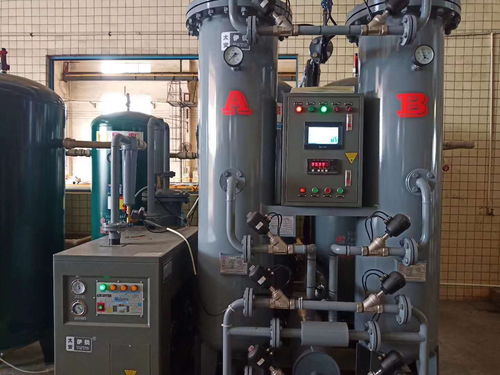 制氮机用活性炭还是分子筛