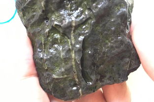 草缸用活性炭过滤的优缺点