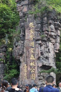 张家界回收黄金专用活性炭的地方