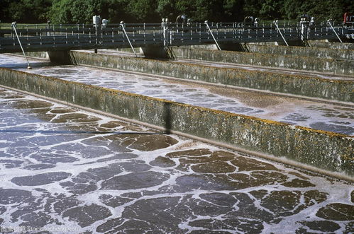 活性炭在水处理中的作用