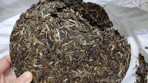 茶叶梗和活性炭哪个除甲醛更好
