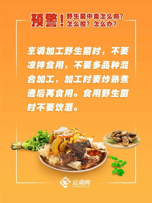 野生菌中毒如何用活性炭
