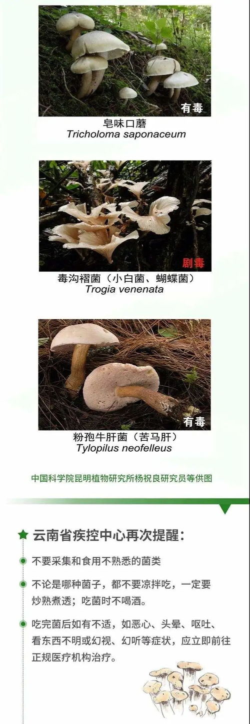 活性炭放多了会中毒吗