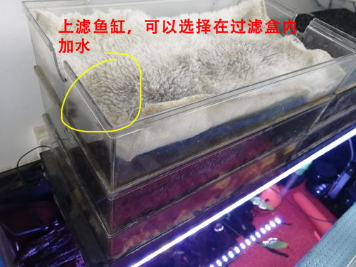 鱼缸过滤可以用活性炭吗