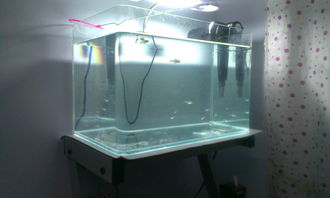 鱼缸过滤器全用活性炭