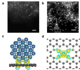 山东新空活性炭有限公司