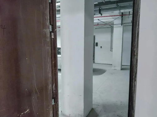 活性炭吸潮效果怎么样