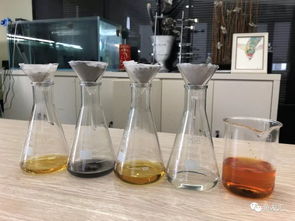 用活性炭能不能将硬水转化为软水