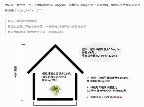 airfunk除甲醛管用么