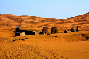 吐鲁番回收黄金专用活性炭