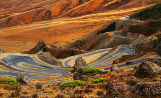 怎样提炼活性炭里的金