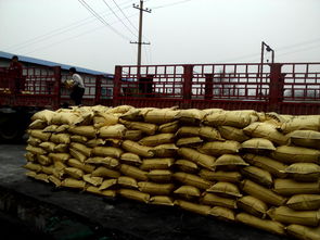 活性炭生产厂家排名前十