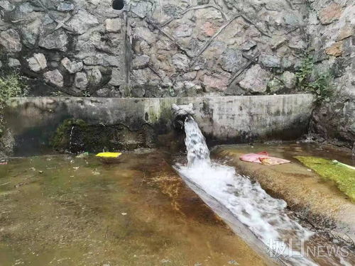 用活性炭吸附黄金