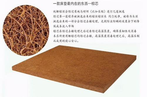 棕榈床垫可以用活性炭吗