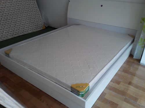 棕榈炭的功效与作用及禁忌