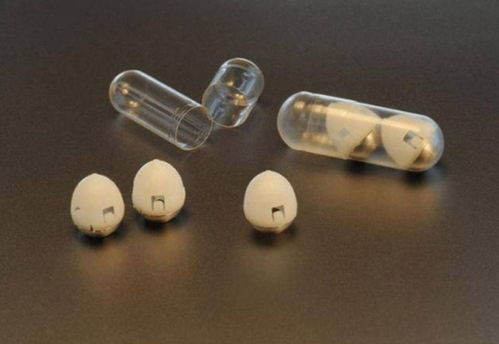 买鞋送的活性炭胶囊怎么用