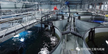 商丘海水养殖专用活性炭