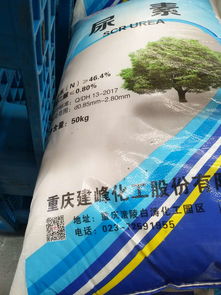 尿素厂要用活性炭吗多少钱