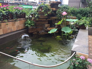 鱼缸里放活性炭对鱼好不好呀