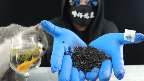 活性炭药物有哪些