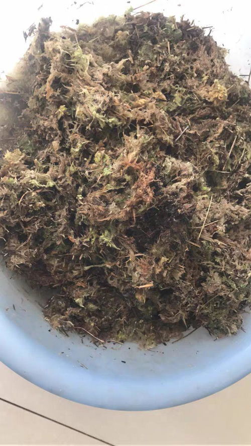 一平方的铺面能做什么