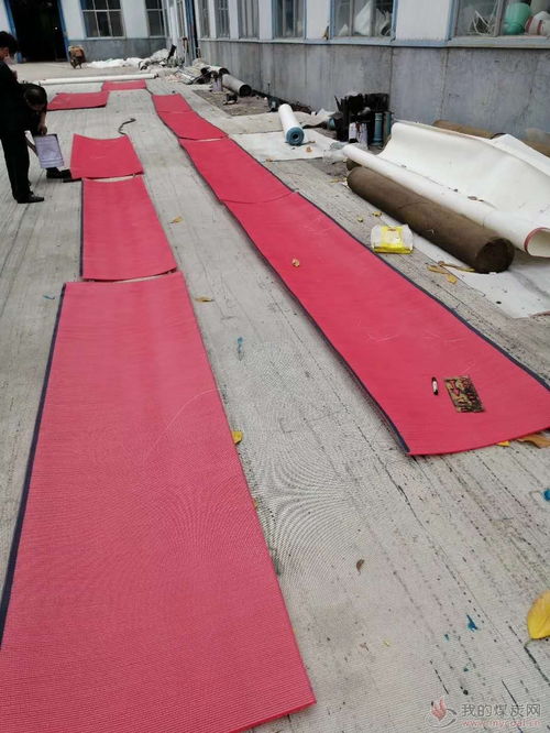 活性炭过滤器多少钱一个