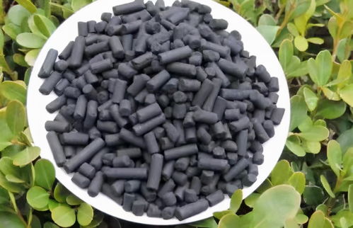 水有异味用活性炭能吸附吗