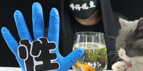 活性炭放到鱼缸里对鱼有坏处吗