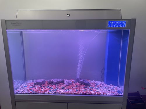 鱼缸能用活性炭过滤水吗