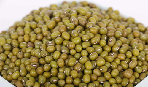 药用炭和活性炭的区别