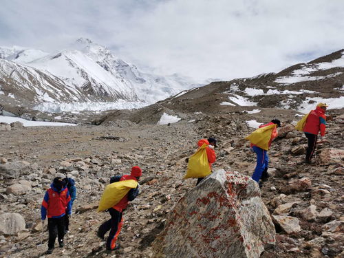 阿图什回收黄金专用活性炭