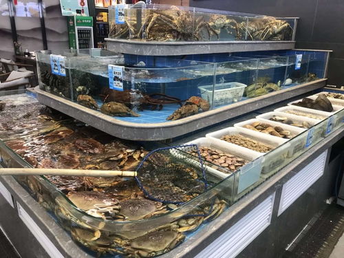 海鲜池用活性炭