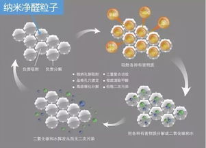 活性炭怎么使用才能有效的除甲醛