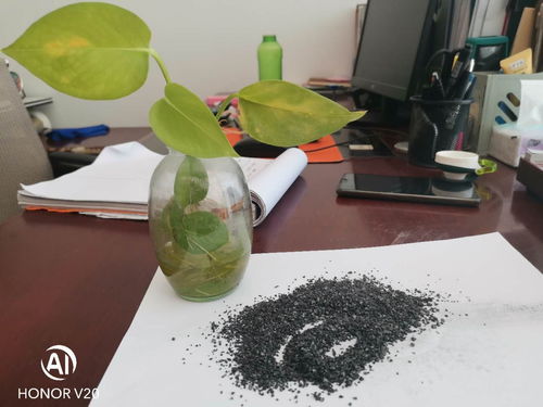 长沙水处理用活性炭