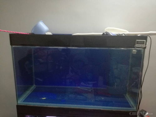 海缸用活性炭推荐