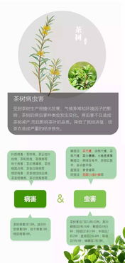 茶叶做农残检测用活性炭