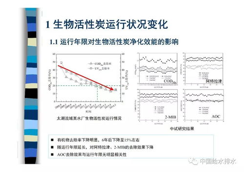 工业用活性炭指标要求