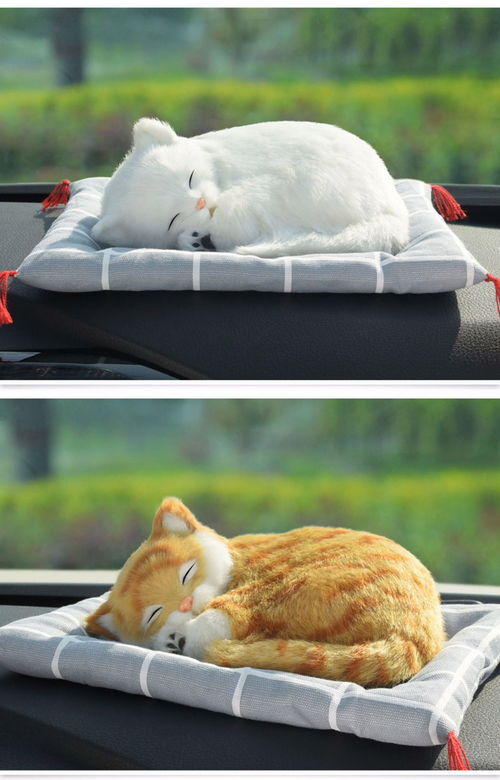 汽车活性炭什么牌子好