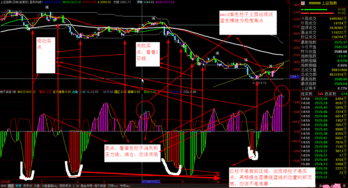 活性氧含量指的是什么