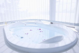 用活性炭做水池好吗