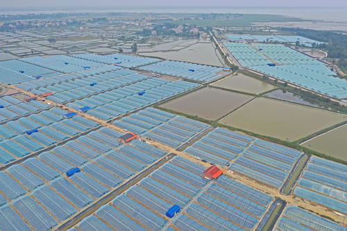 活性炭在水产养殖的应用