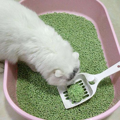 猫砂盆用活性炭