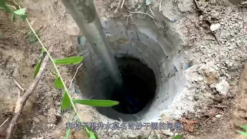 酒类活性炭的使用注意事项