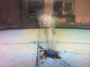 鱼池用活性炭哪里买