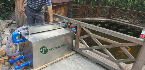 活性炭一般在哪里购买