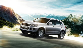 活性炭能去除车内味道吗