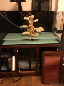 纯fot海缸需要什么滤材