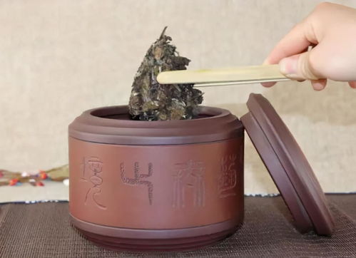 活性炭和茶叶梗哪个吸收甲醛更好